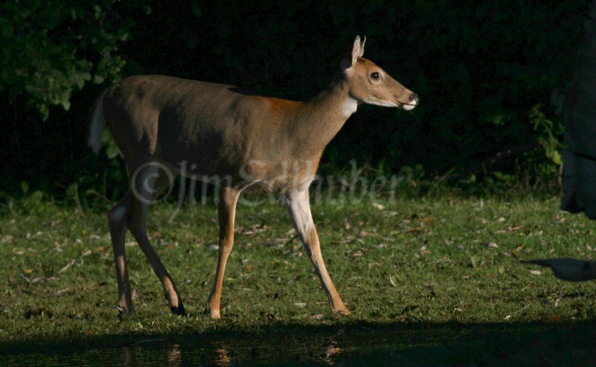 Standing around the water