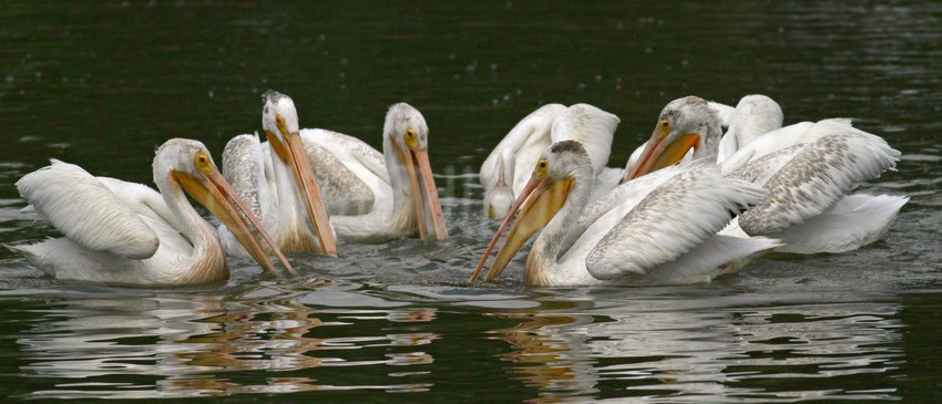 This group all came up empty, no fish